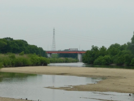 画像9